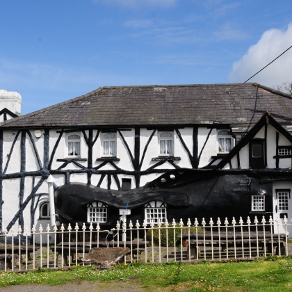 Quirky of the Month - ideal location for filming in Devon and the South West of England